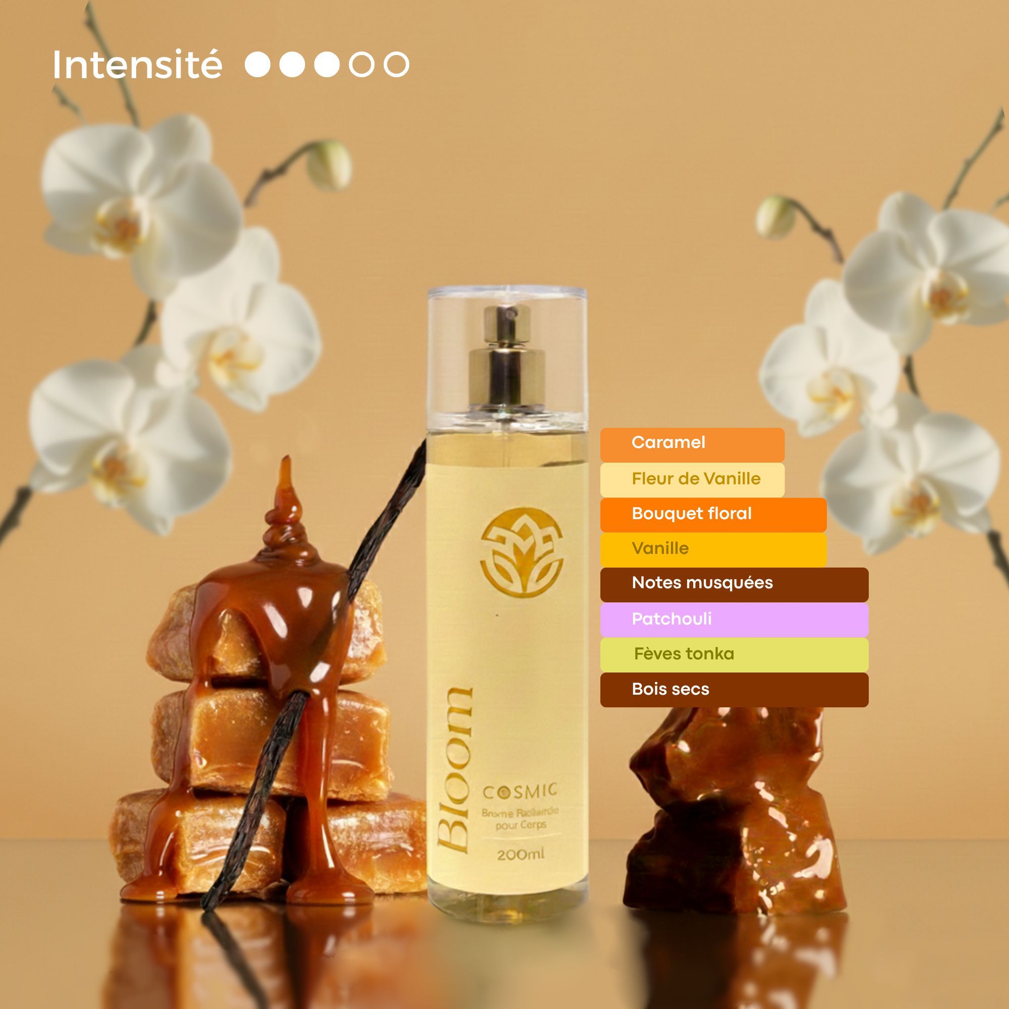 Odoo • une photo avec une légende