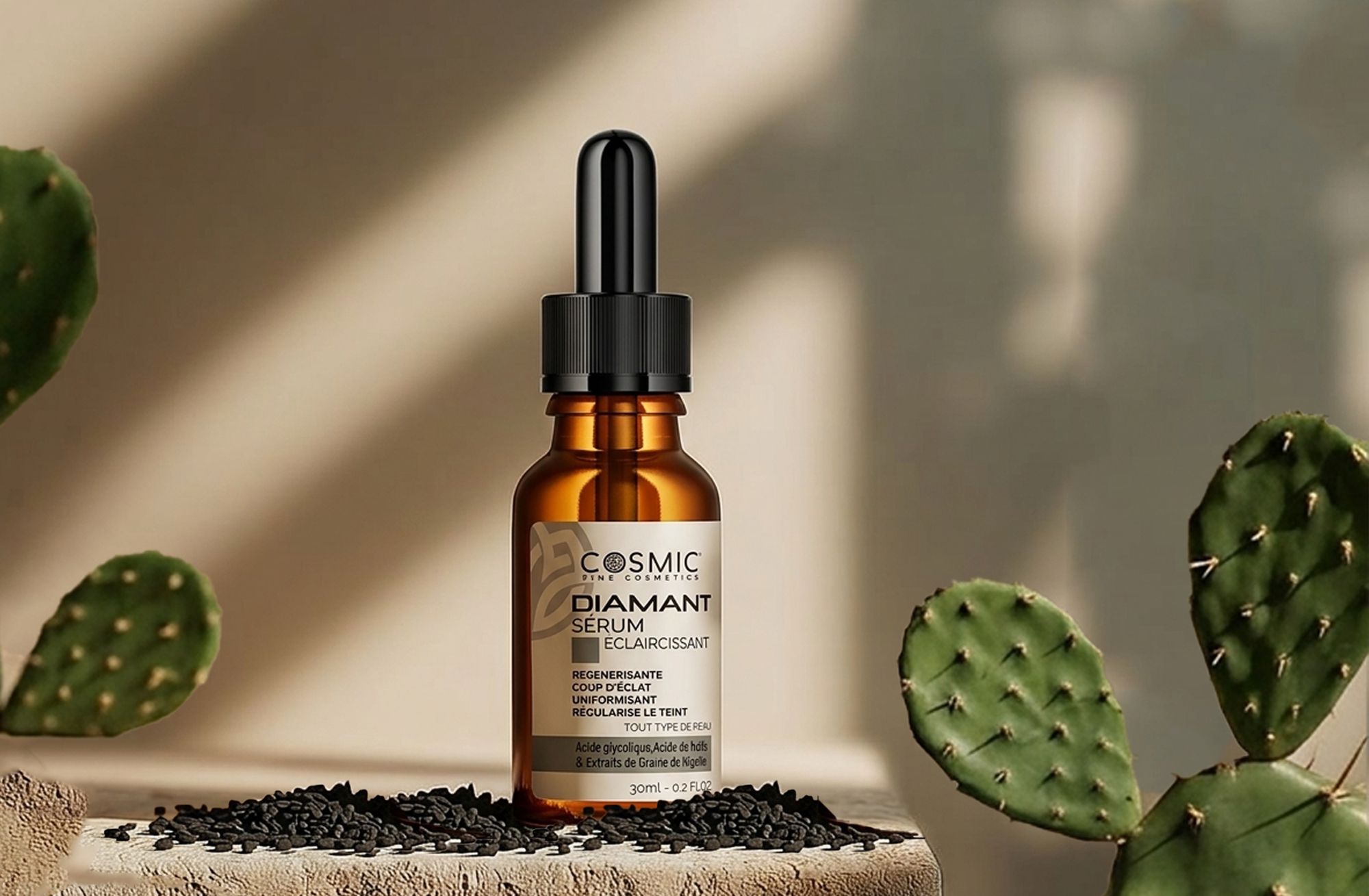 Odoo • Texte et Image